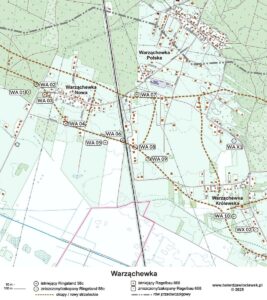 Read more about the article Warząchewka – Warsingen