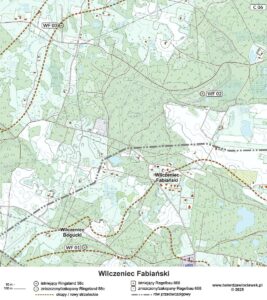 Read more about the article Wilczeniec Fabiański – Wolfshubert